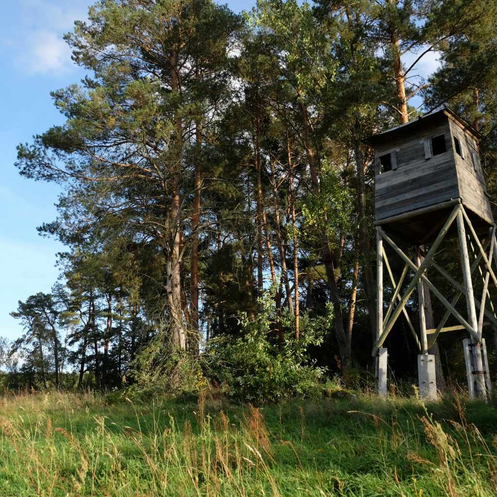 Are Ground Blinds Effective For Archery Hunting