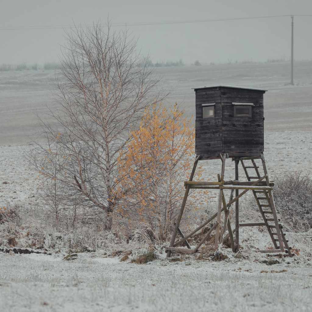 Troubleshooting Common Ground Blind Archery Problems