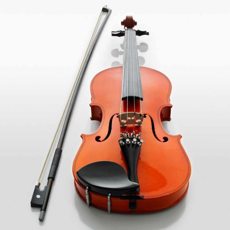 Are Horses Killed for Violin Bows