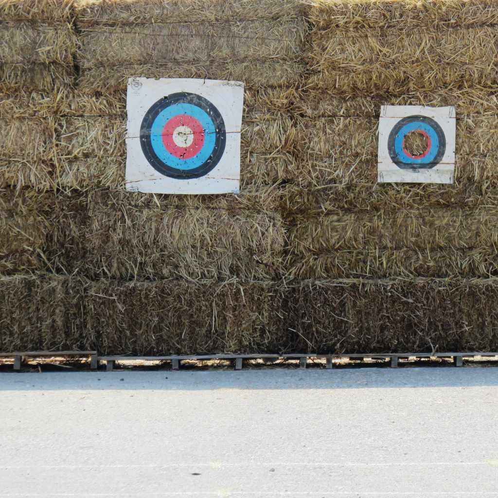Carpet vs Cardboard Archery Target