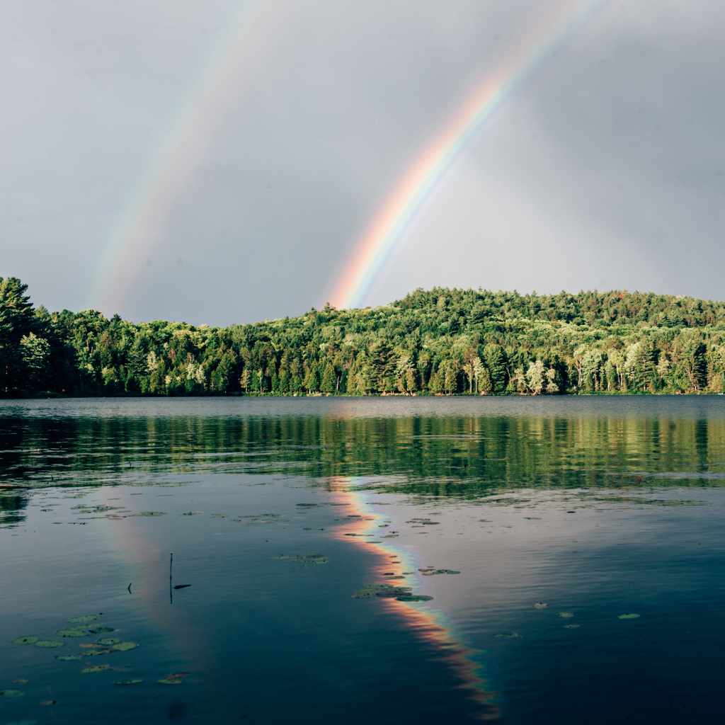 Understanding the Colors