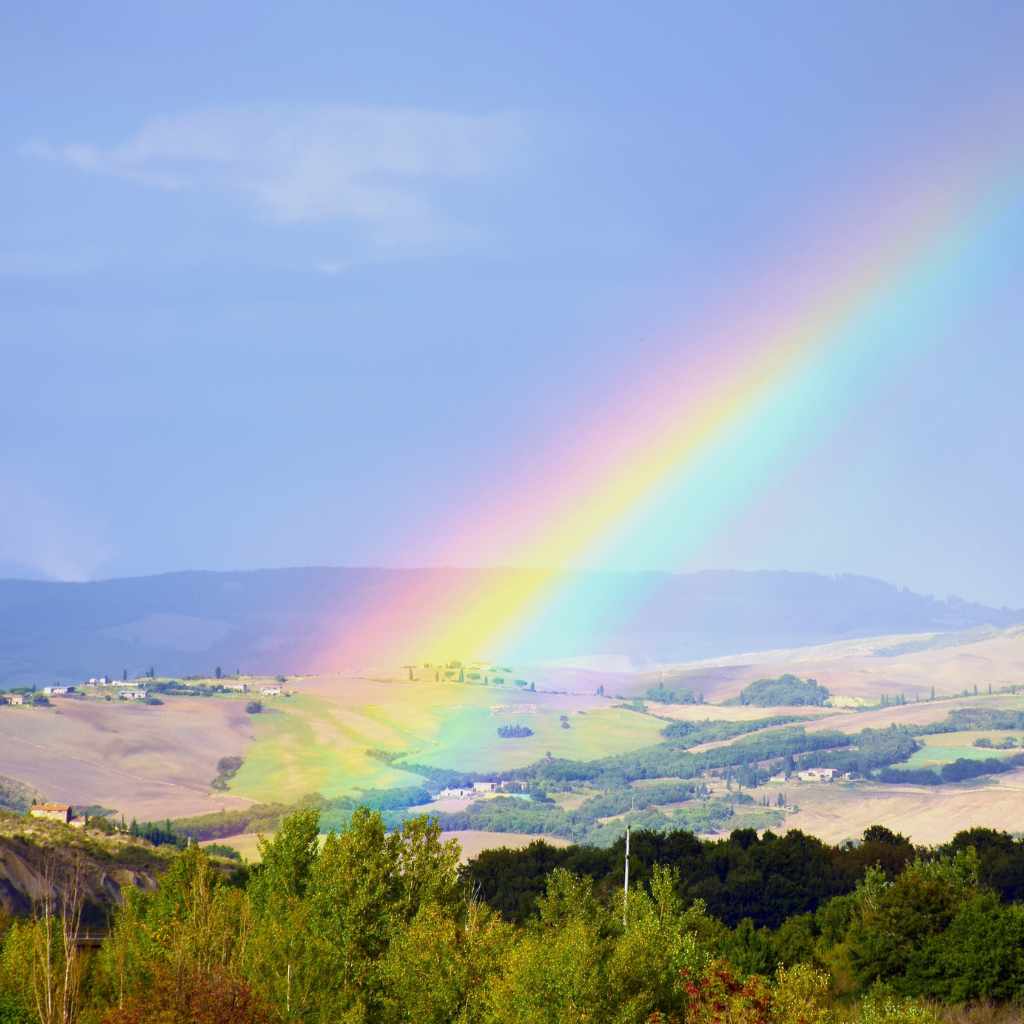Different Kinds of Rainbows