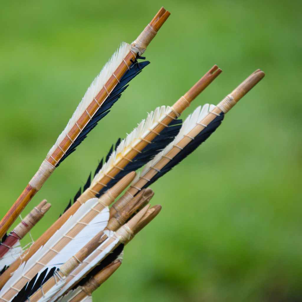 What Is a Crossbow Nock and Why Does It Matter