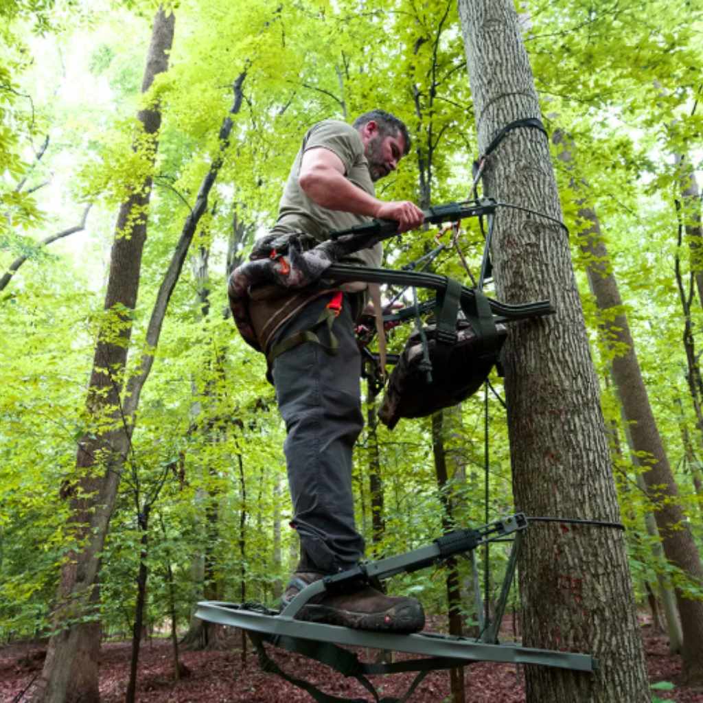 Where to Buy Tree Stands Now