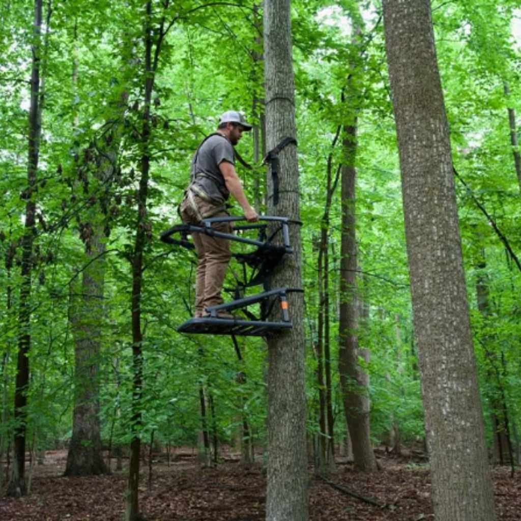 Are Climbing Tree Stands Worth It