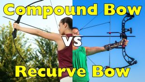 Archery Compound Bow vs Recurve Bow: Which Is Best for You?