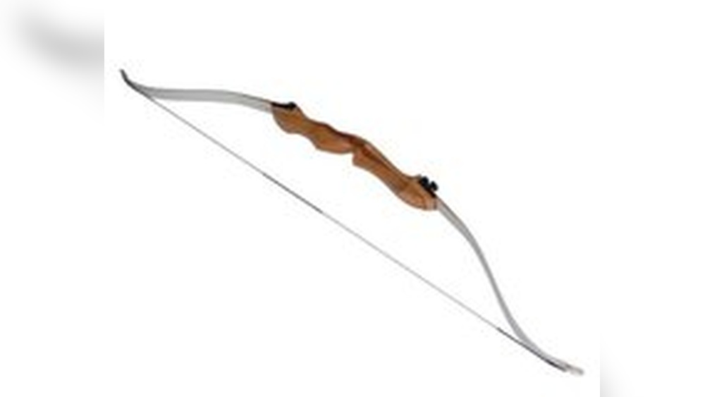 Are Recurve Bows Good for Beginners