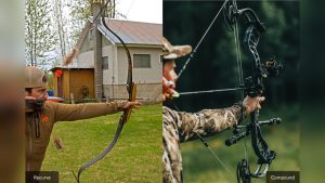Are Recurve Bows Hard to Shoot? Tips for Beginners