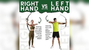 Are Recurve Bows Left or Right Handed? Here’s How to Tell