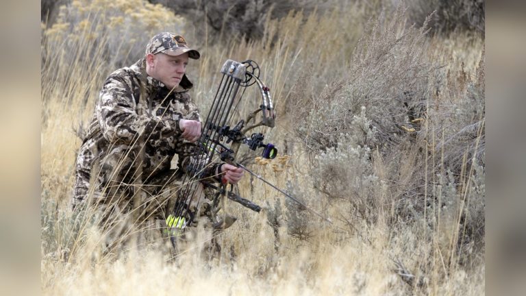 Are Recurve Bows Legal for Hunting