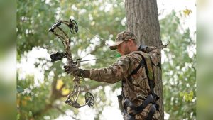 Are Sights on a Bow Worth It? Pros, Cons, and Expert Tips