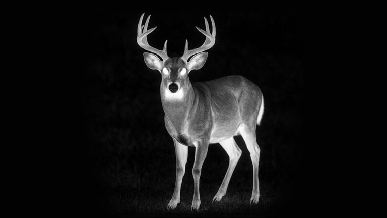 Are Thermal Scopes Legal for Deer Hunting