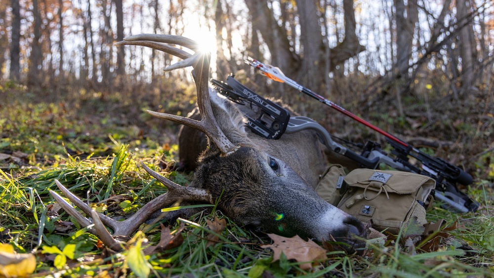 Are You Allowed to Bow Hunt During Gun Season