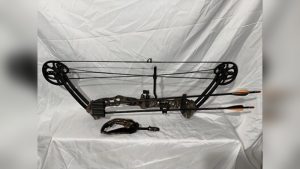 Are Youth And Womens Bow the Same? Key Differences Explained