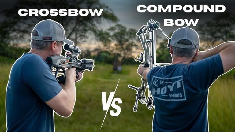 Ark Compound Bow Vs Sniper