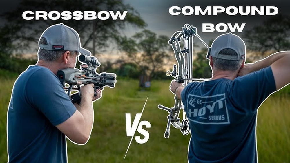 Ark Compound Bow Vs Sniper