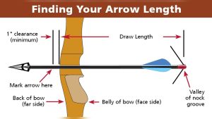 Arrow Length Vs Draw Length Compound Bow: Ultimate Guide Explained