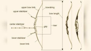 Barebow Vs Traditional Archery: Key Differences Explained