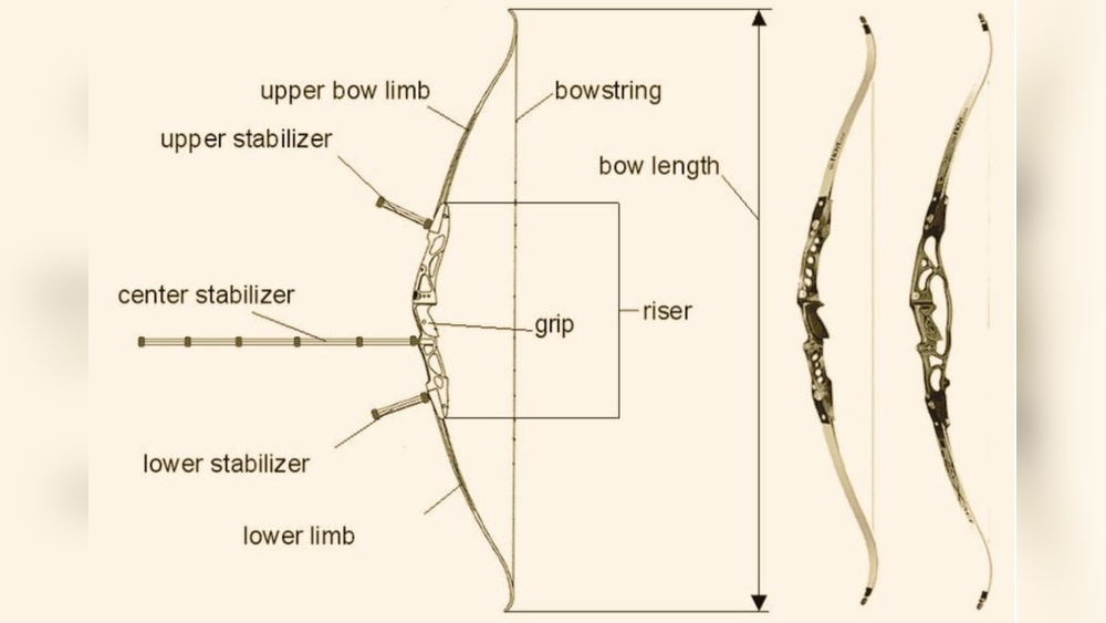 Barebow Vs Traditional Archery