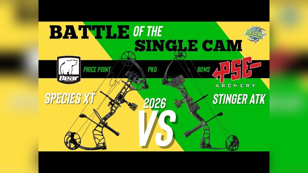 Bear Vs Pse Compound Bows