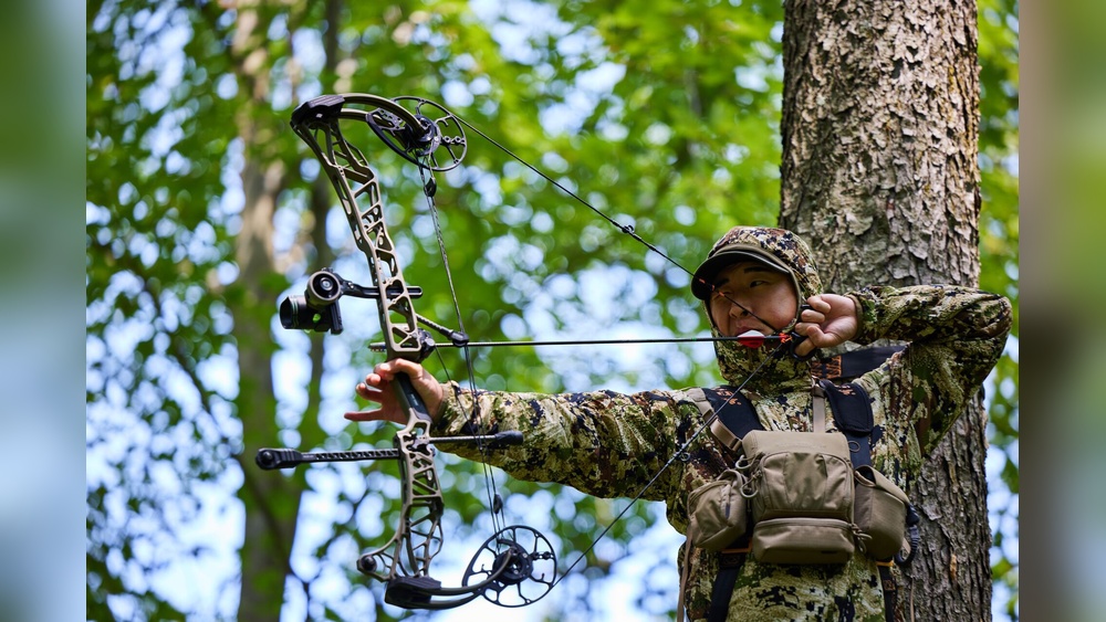 Beginner Compound Bow Vs Expensive