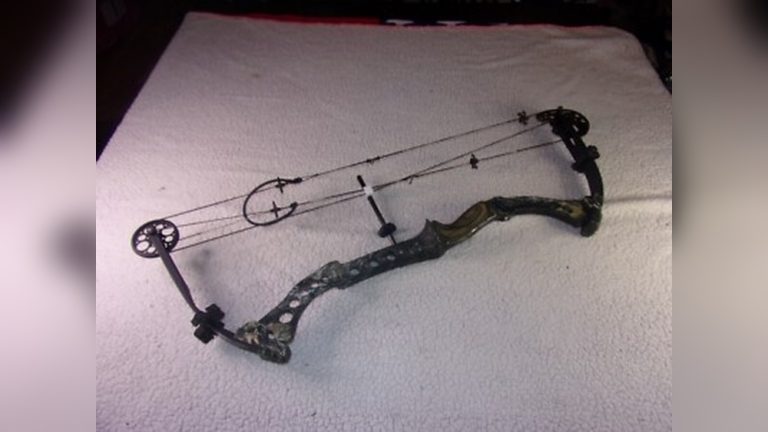 Compound Bow Bowtech Tomkat Vs Infinite Edge Pro