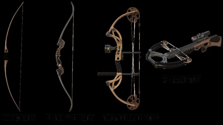 Compund Bow Vs Traditional Bow Thehunter