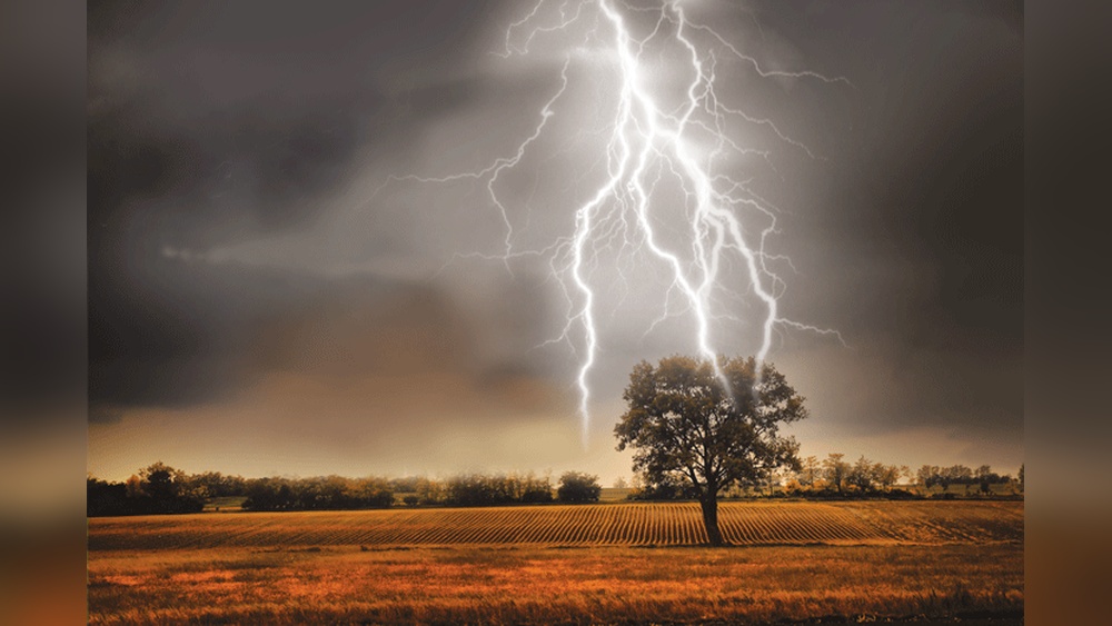 Don'T Stand under a Tree During Lightning