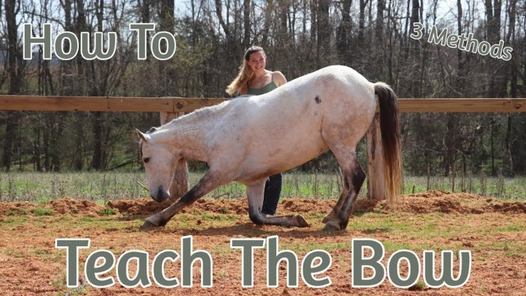 How Do You Train a Horse to Bow