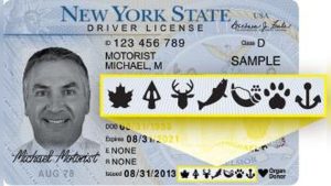 How Much is Youth Bow Licence for NY State: 2026 Pricing Guide