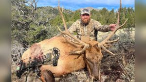 How To Become An Elk Bow Hunter