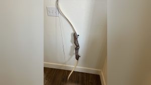 How To Bow A Heritage Recurve