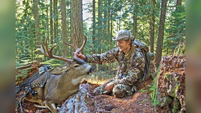 How to Bow Hunt Blacktail Deer