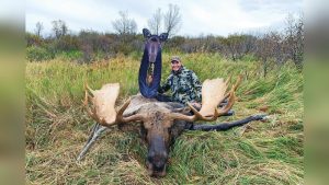How To Bow Hunt Cow Moose