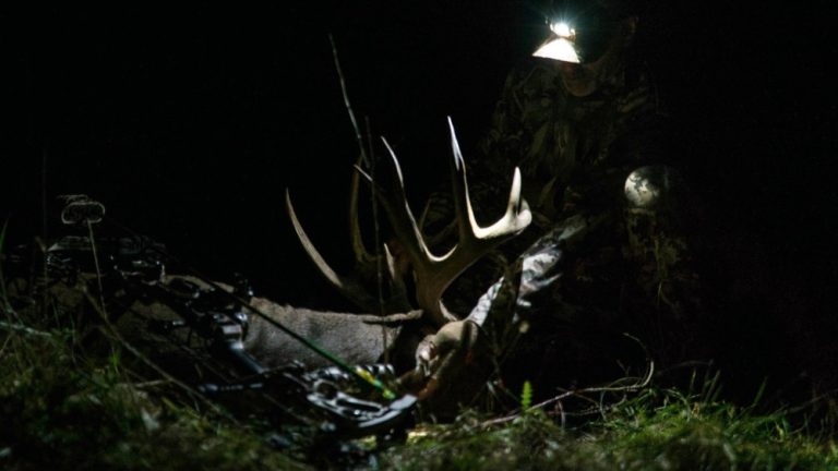 How to Bow Hunt Deer at Night