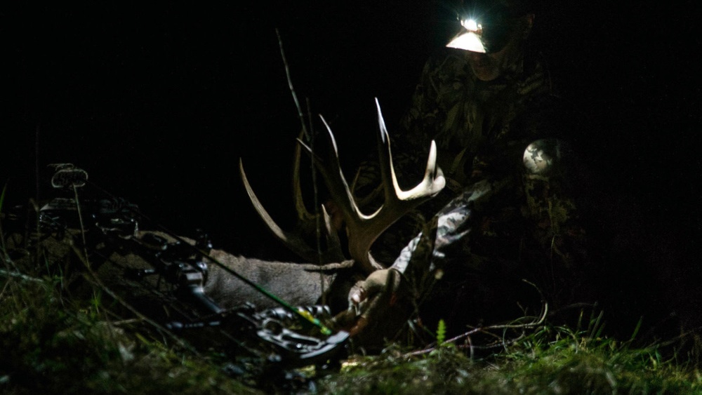 How to Bow Hunt Deer at Night