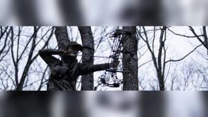 How To Bow Hunt Deer From Treestand