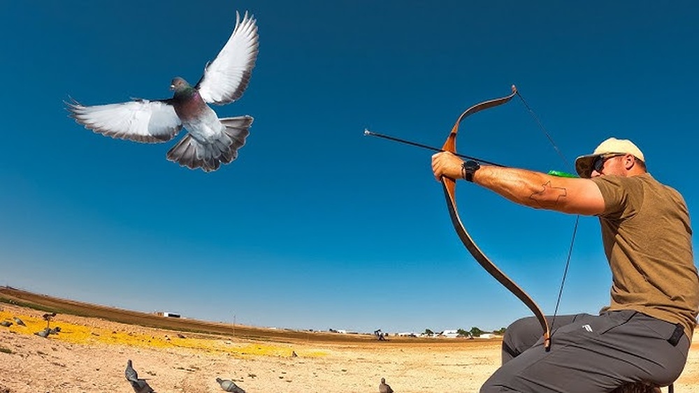 How to Bow Hunt Dove