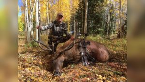How To Bow Hunt Elk In Colorado