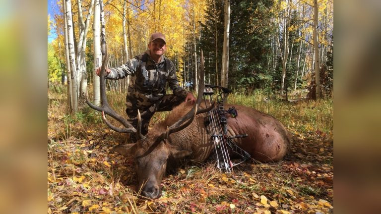 How to Bow Hunt Elk in Colorado
