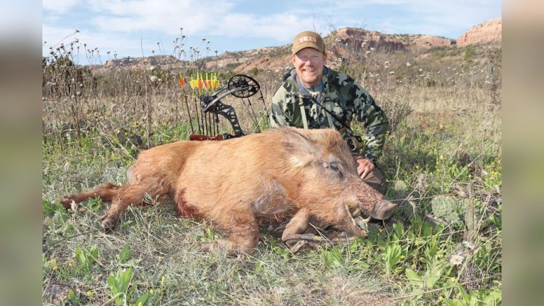 How to Bow Hunt Feral Pigs