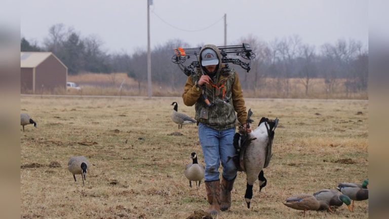 How to Bow Hunt Geese