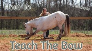 How to Draw a Horse Bowing: Step-by-Step Guide for Beginners