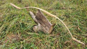 How to Make Horse Bow Bamboo: Step-by-Step Guide for Beginners