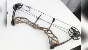 Is 33 Lb Draw Weight Too Much for Bow Fishing? Expert Advice