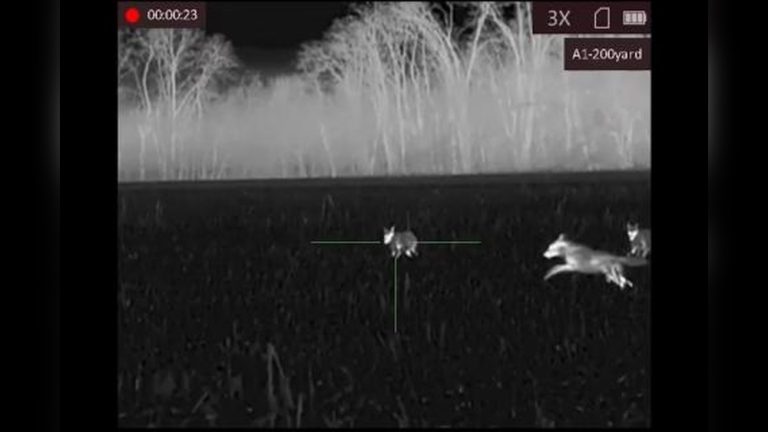 Is a Fixed 3X Scope Good for Coyote Hunting