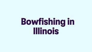 Is Bow Fishing Legal in Illinois? Rules, Laws, and Regulations