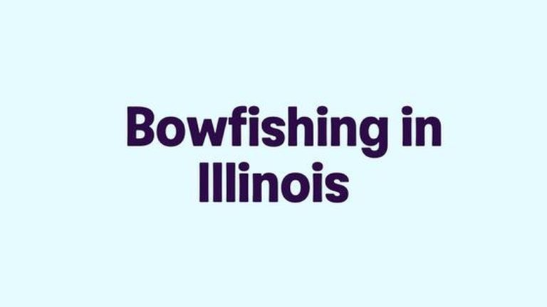 Is Bow Fishing Legal in Illinois