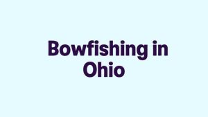 Is Bow Fishing Legal in Ohio? Laws, Rules, and Regulations Explained