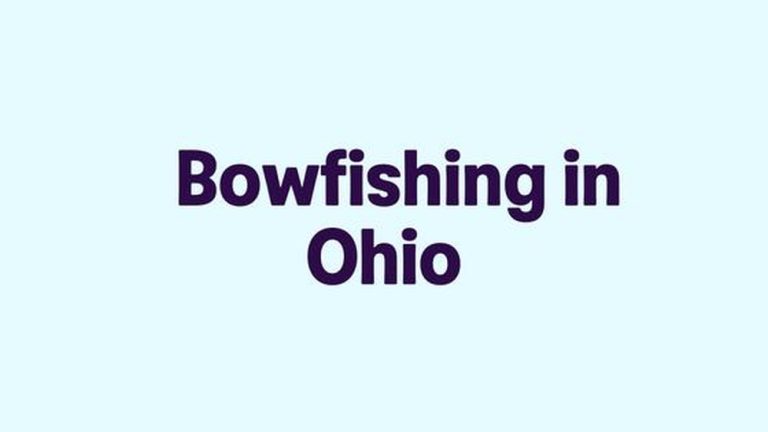 Is Bow Fishing Legal in Ohio